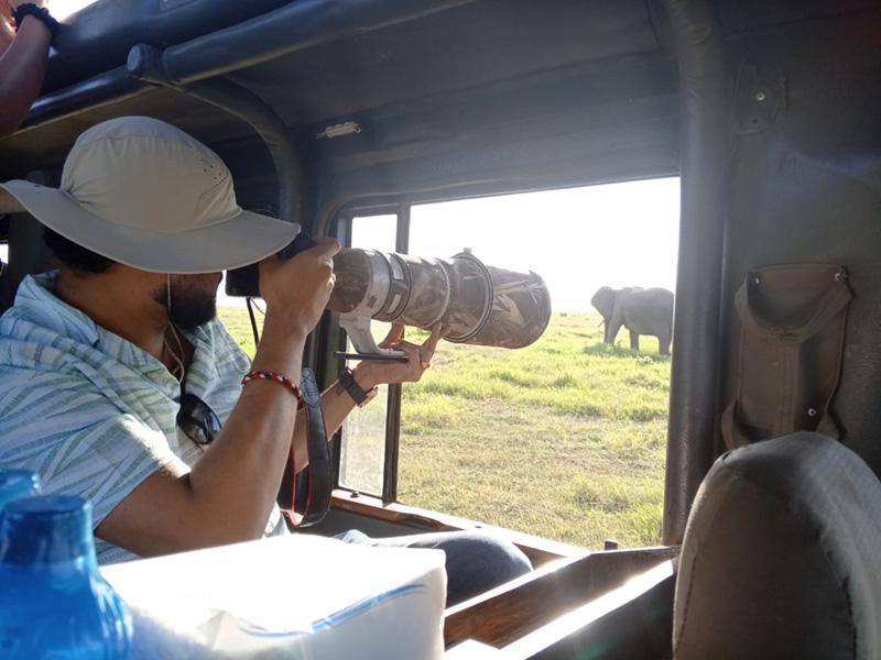 Marimpet Safaris